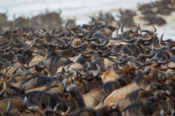 1009201dmiv9201 091415   kopie