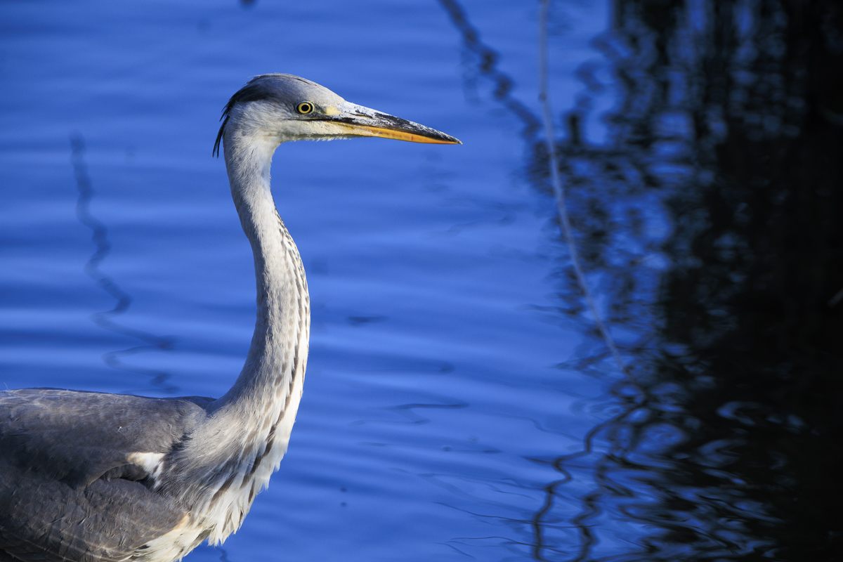 Hannover - Deutschland
